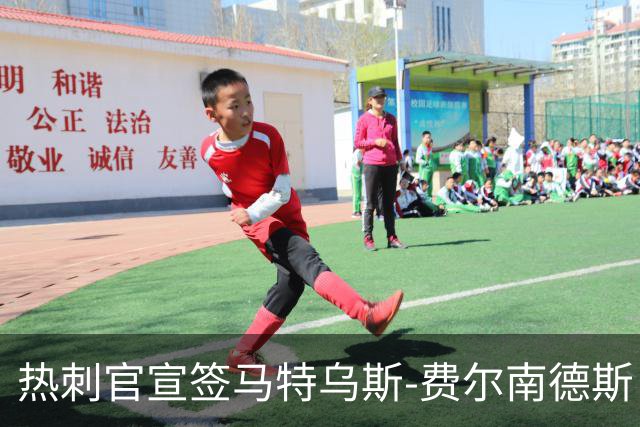 热刺官宣签马特乌斯-费尔南德斯 转会费8500万镑破纪录