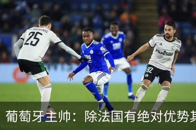 葡萄牙主帅：除法国有绝对优势其他都在毫厘之间 我们不是大热门