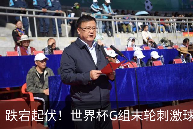 跌宕起伏！世界杯G组末轮刺激球迷心脏 伊朗狂喜过后遭打击